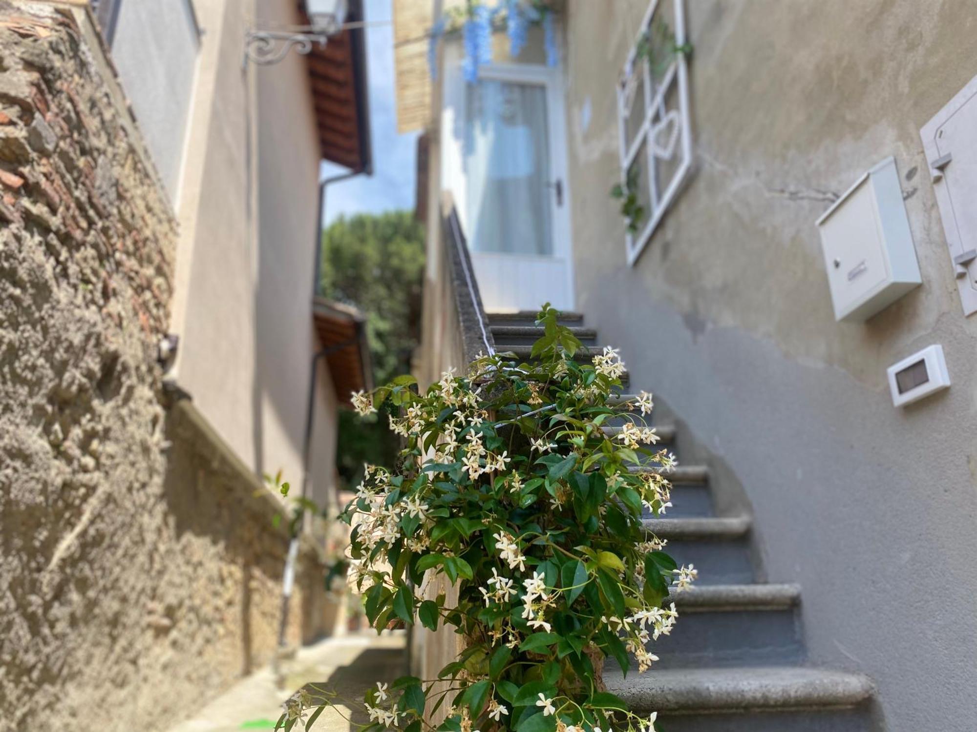 Usigliano La Petite Maison מראה חיצוני תמונה